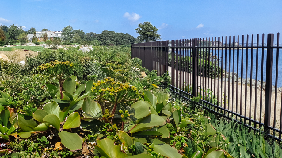 GATES AND FENCING